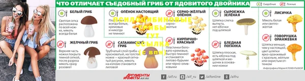 твердый Богородицк